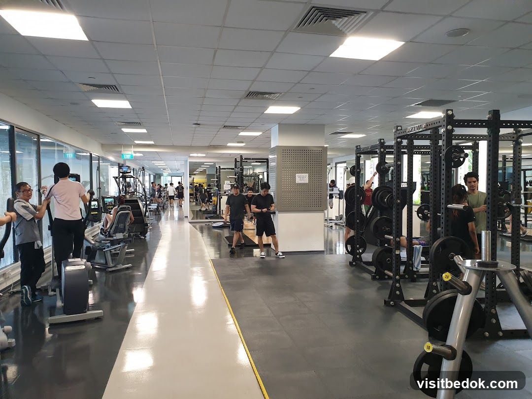 Gym Interior