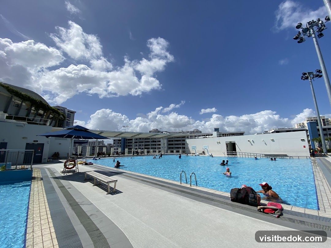 Outdoor Swimming Pool on a Sunny Day