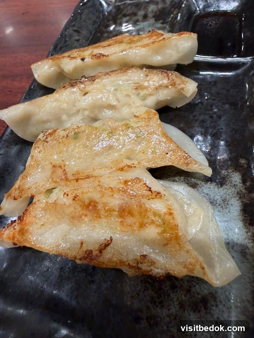 Pan-fried dumplings