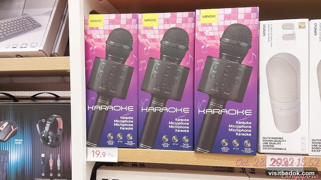 Miniso Karaoke Microphones
