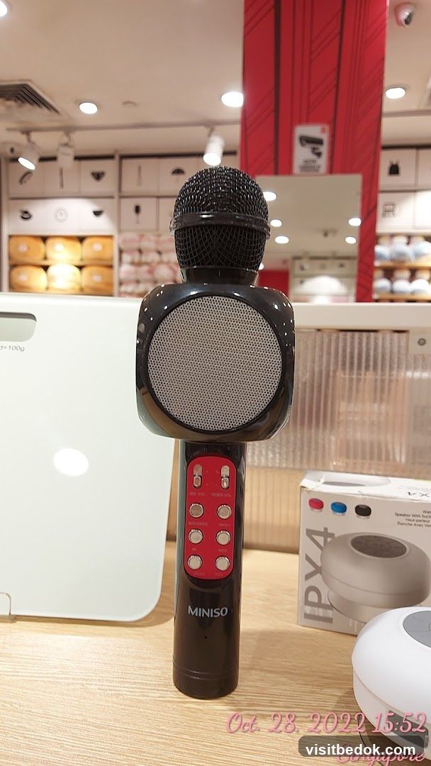 Portable Microphone Speaker