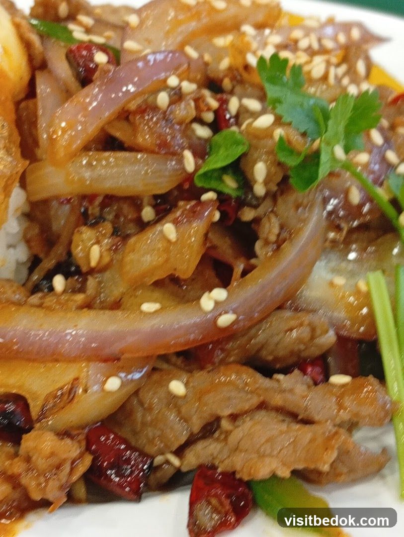 Spicy Beef and Onion Stir-fry