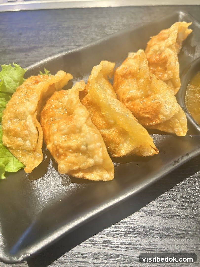 Fried Dumplings