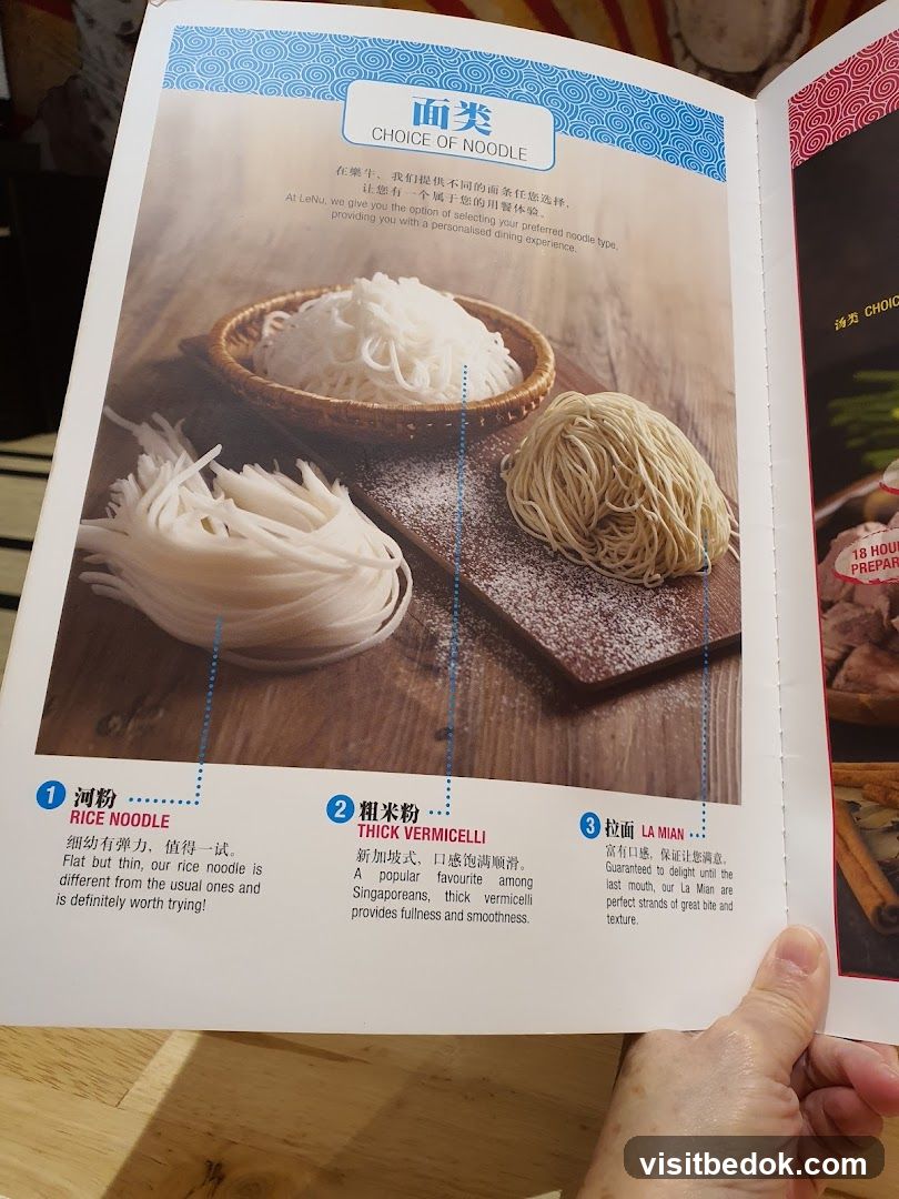 CHOICE OF NOODLE