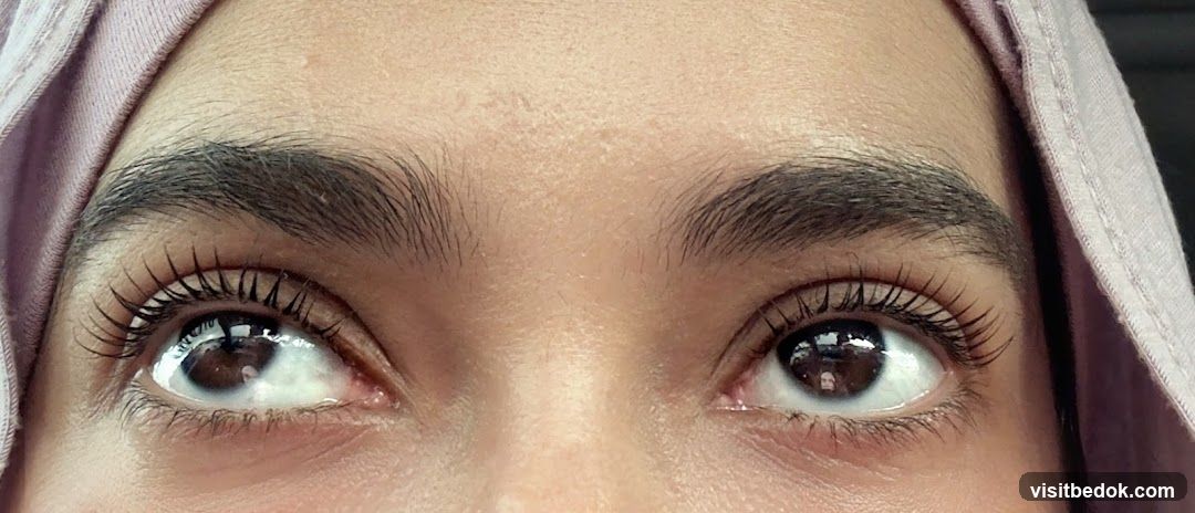 BP Brow & Lash