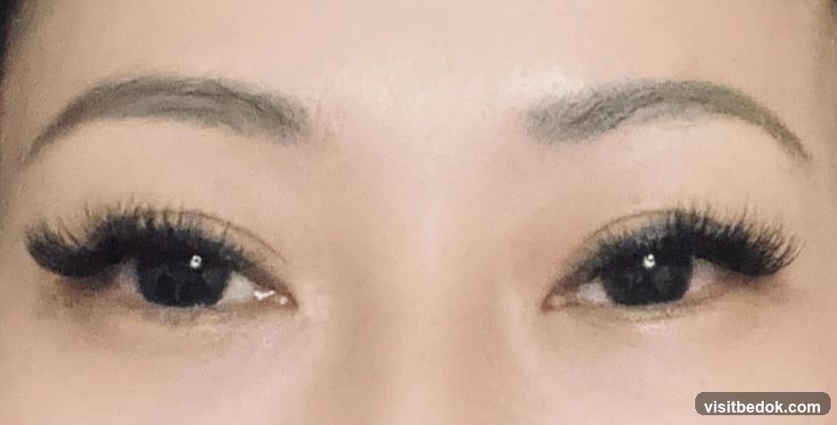 BP Brow & Lash