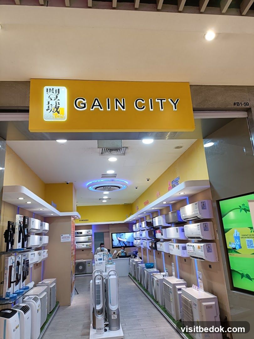 Gain City