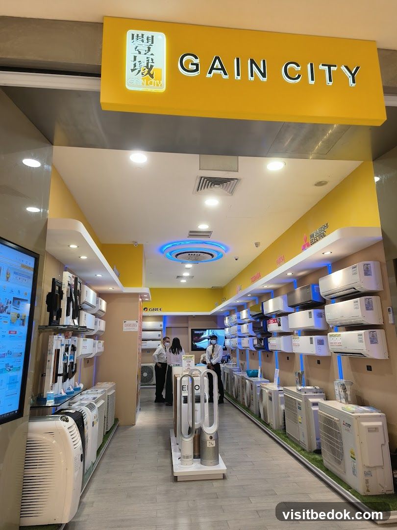 Gain City
