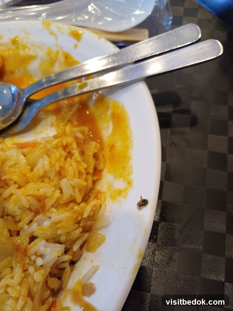 Bug on plate of rice