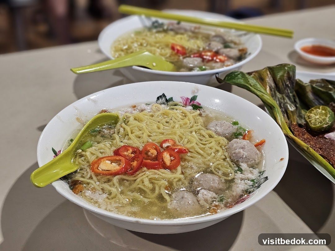 Noodle Soup with Meatballs