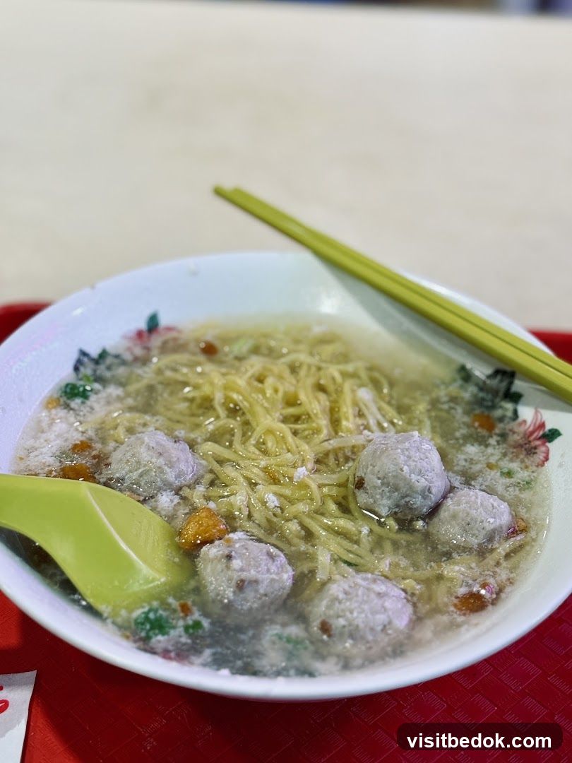 Bowl of Noodles with Meatballs