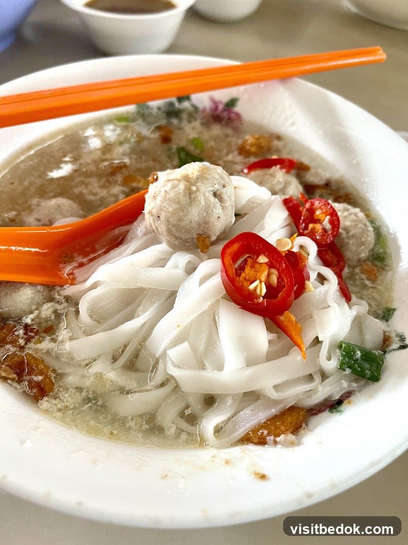 Noodle Soup with Meatballs