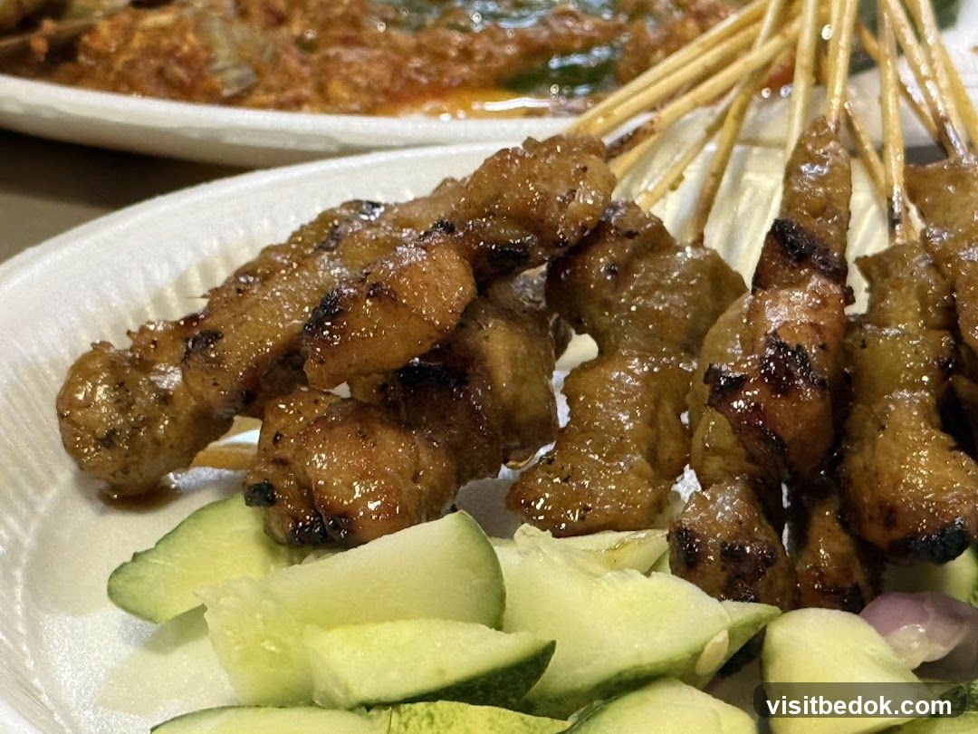 Chicken Satay with Cucumber and Onion