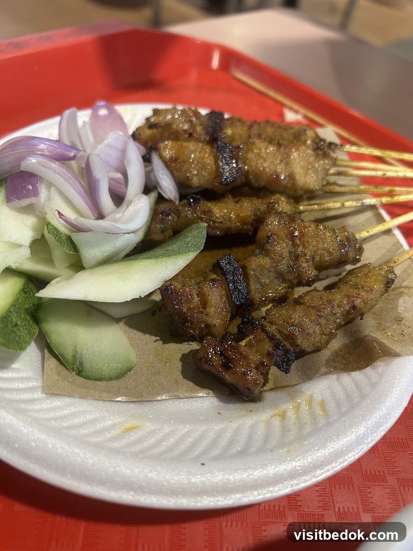 Chicken Satay with Cucumber and Onion