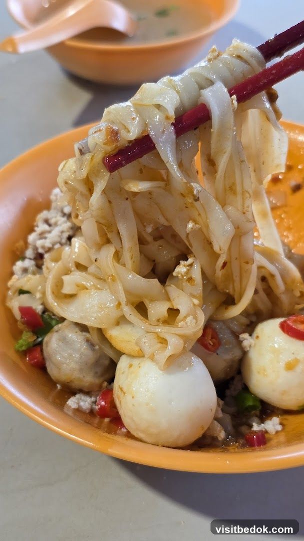 潮鸿鱼丸肉脞面 Teo Hong Fish Ball Minced Meat Noodle