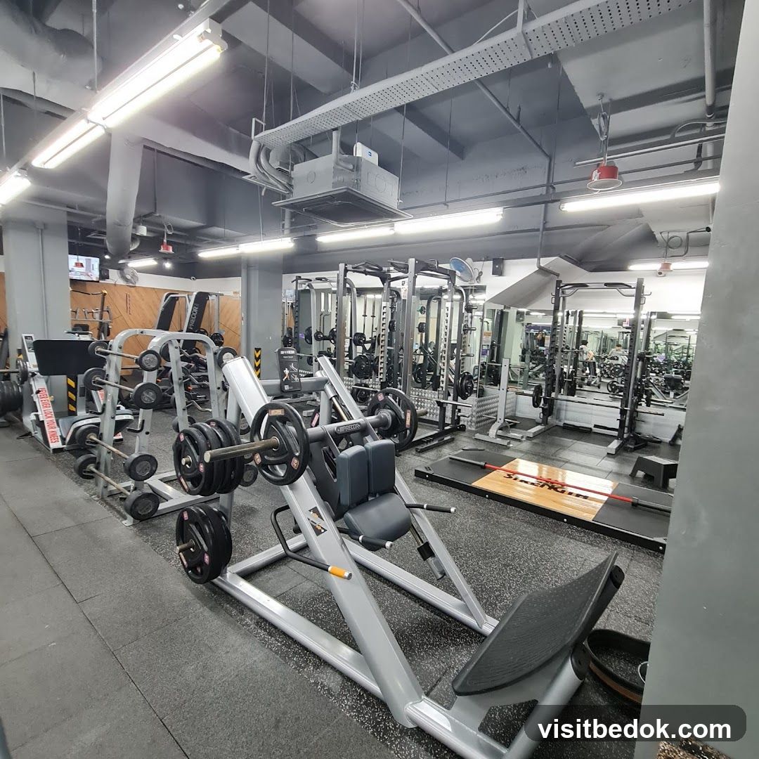 Gym Equipment