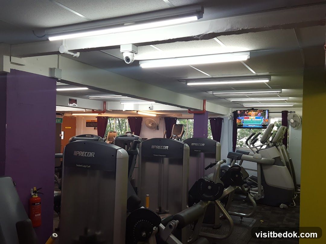 Gym Interior with Exercise Equipment