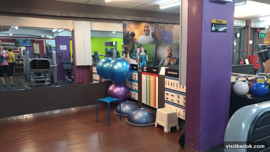 Gym Interior with Exercise Equipment