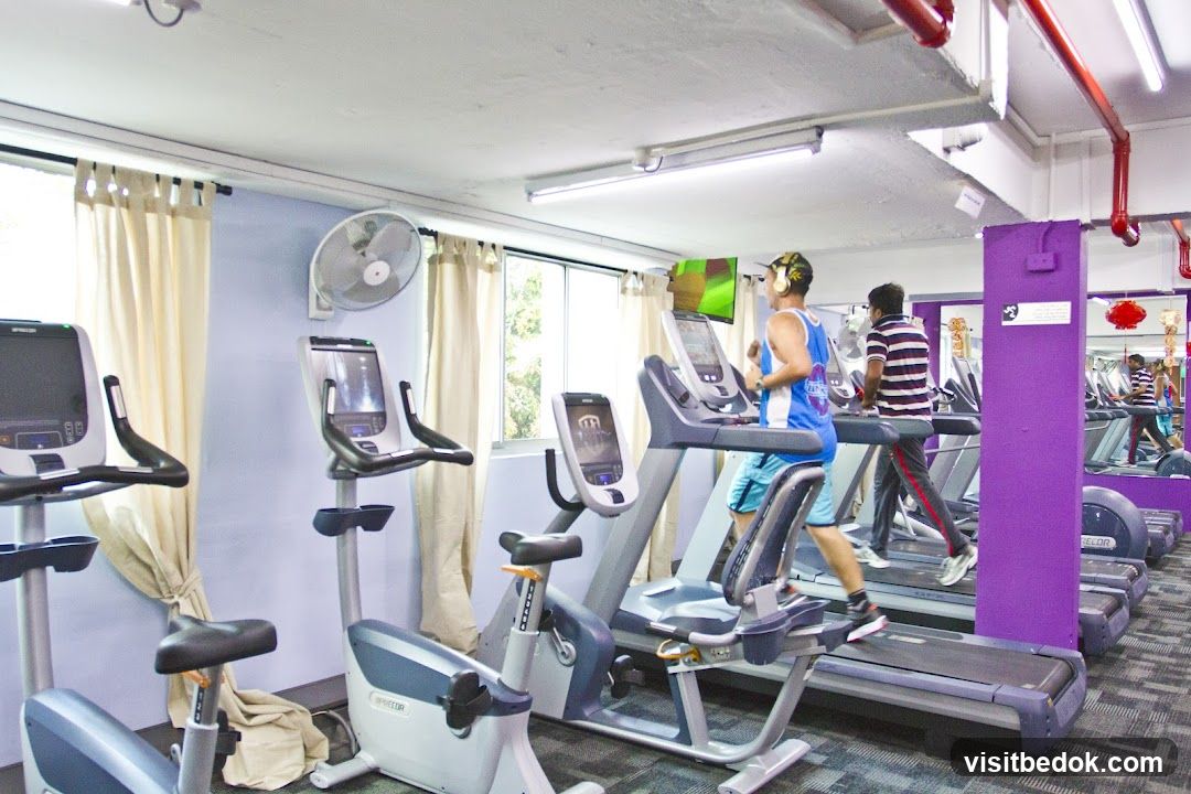Gym Interior with Treadmills and Exercise Bikes