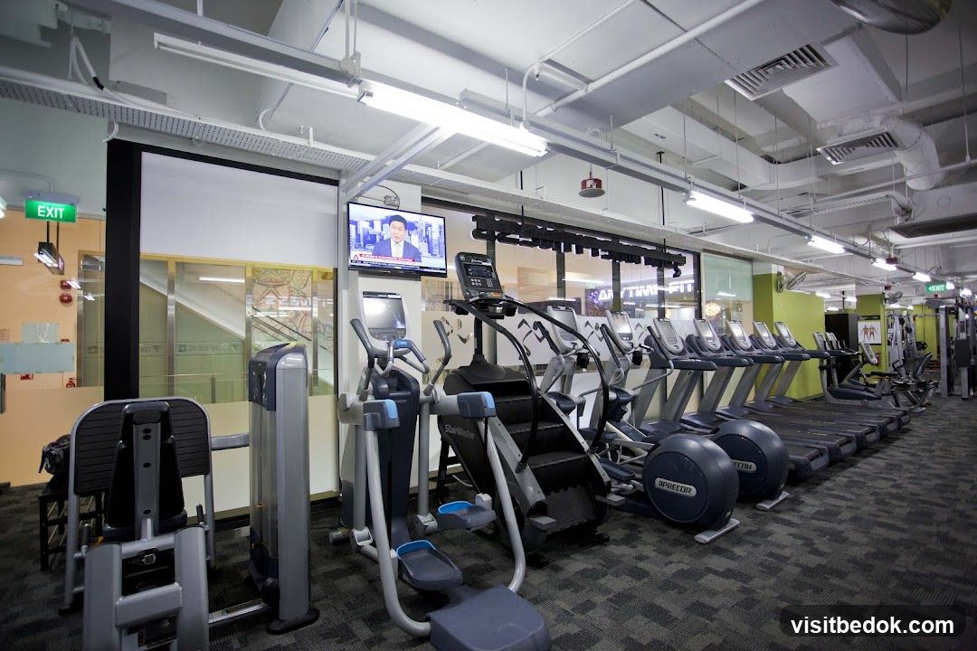Gym Interior with Cardio Equipment