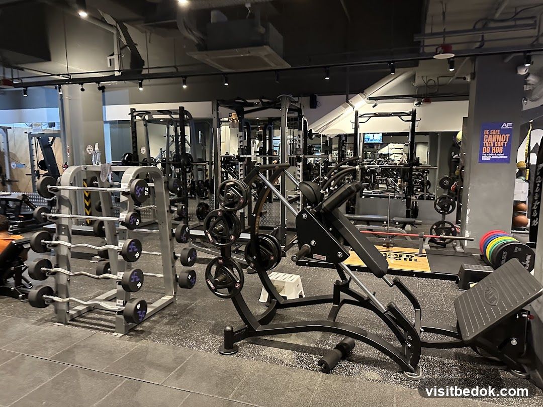 Gym Equipment