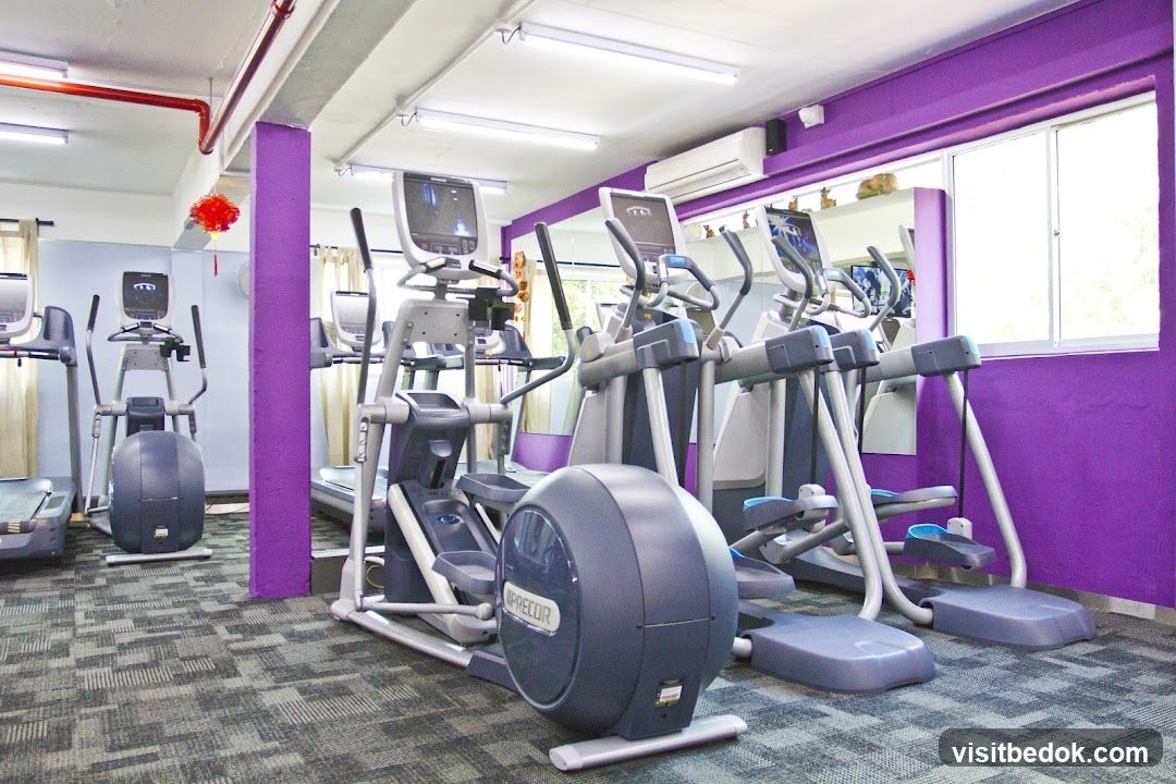 Gym Interior with Elliptical Machines