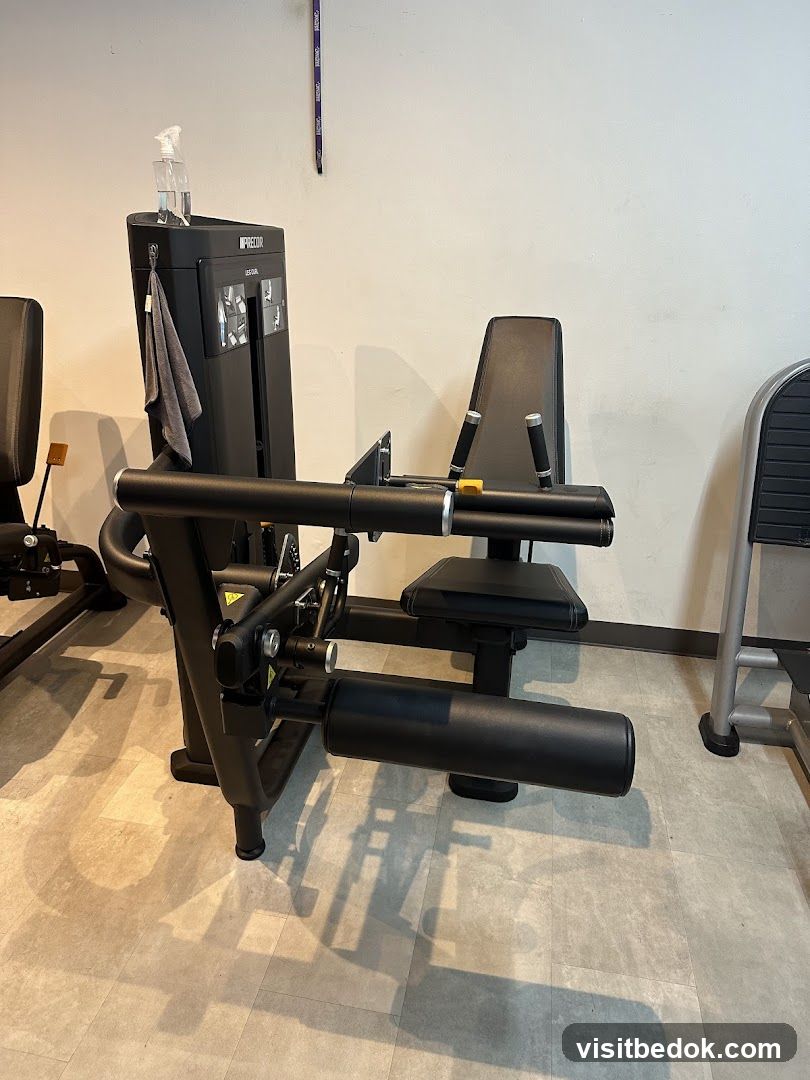Gym Equipment