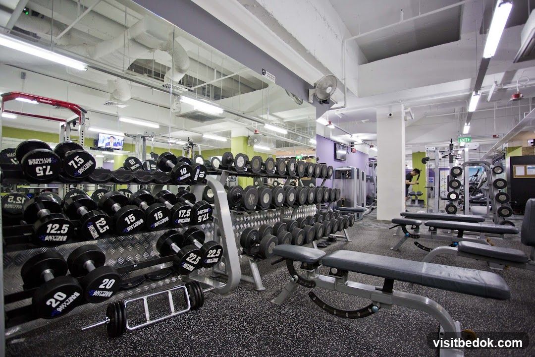 Gym Interior with Dumbbells and Benches