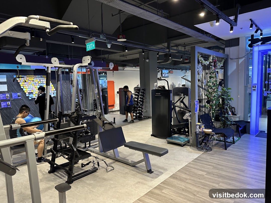 Gym Interior with Exercise Equipment