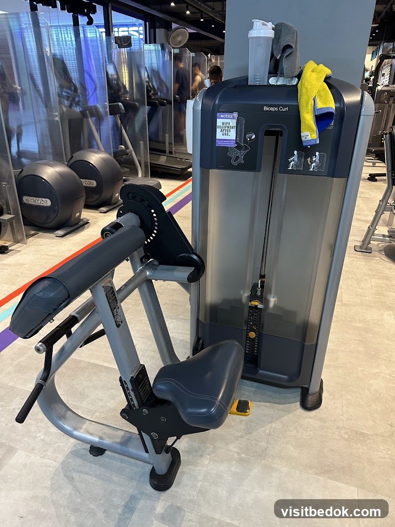 Gym Equipment