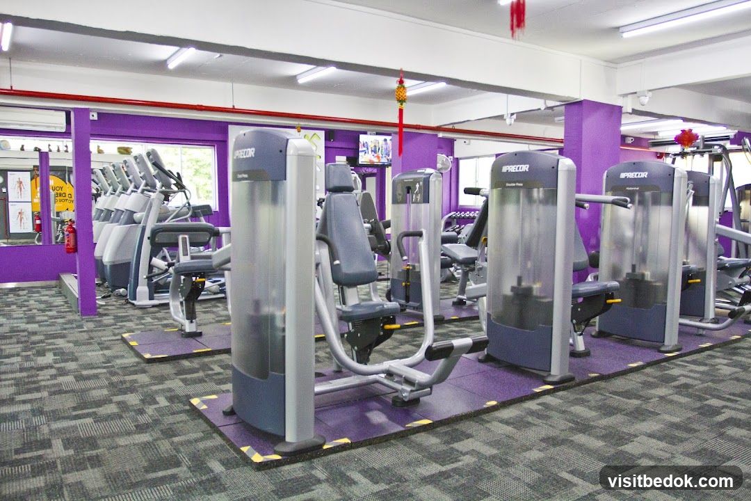 Gym Interior with Exercise Machines