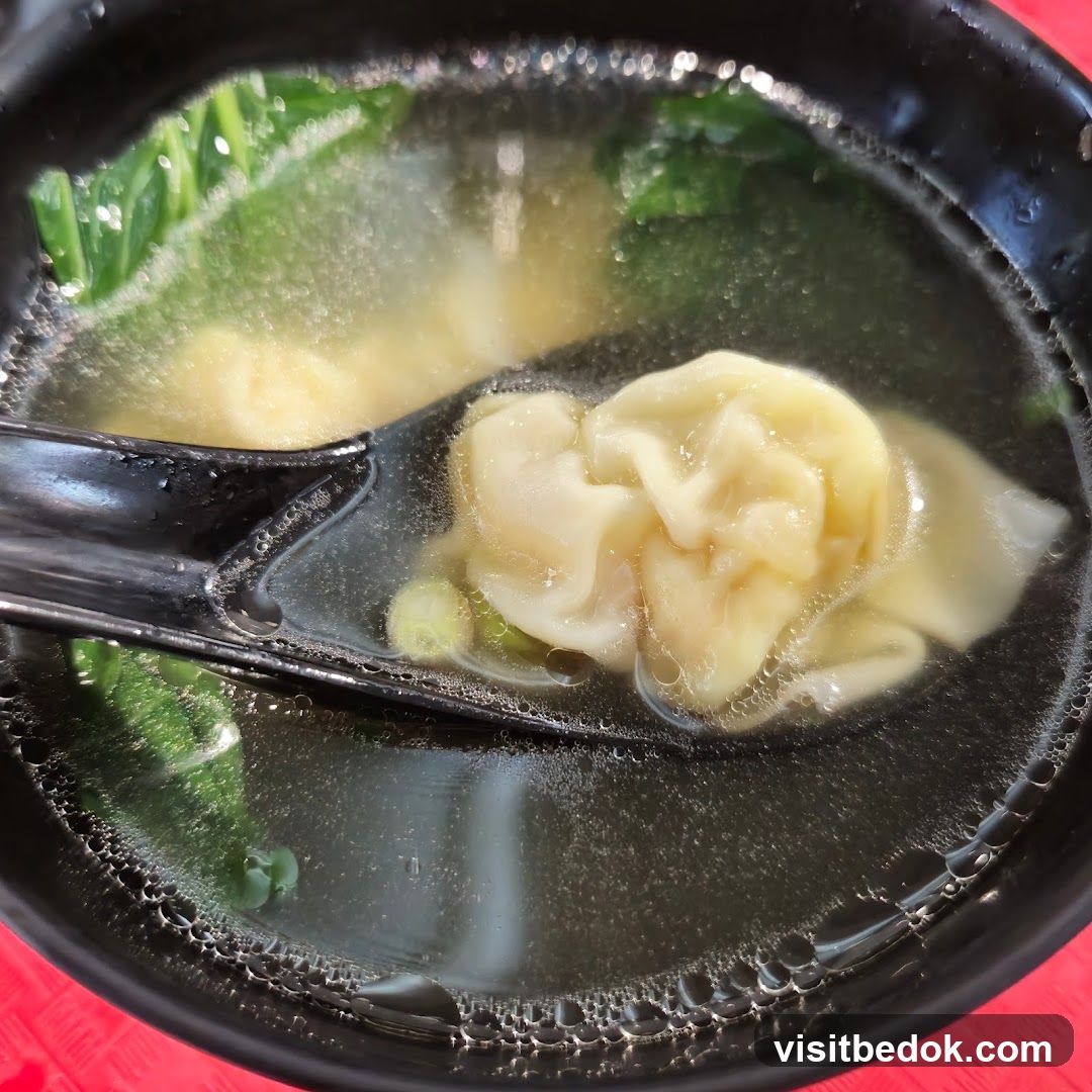 Wonton Soup