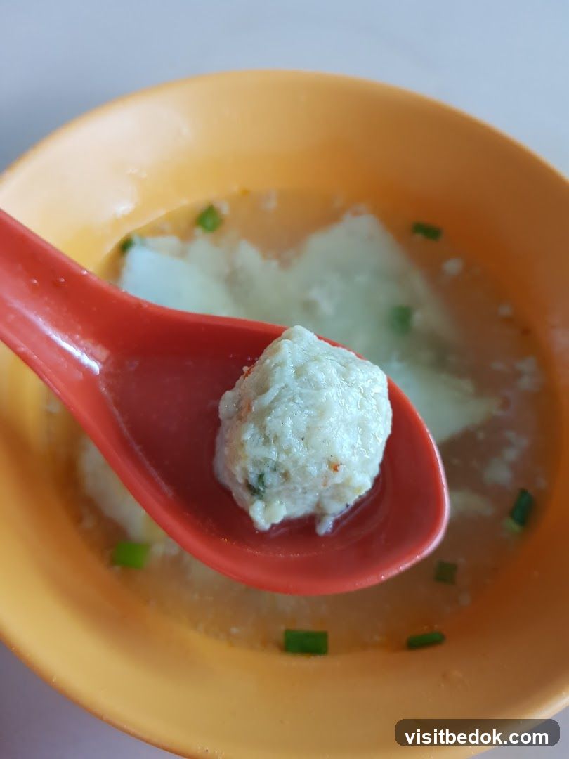 Fish Ball Soup