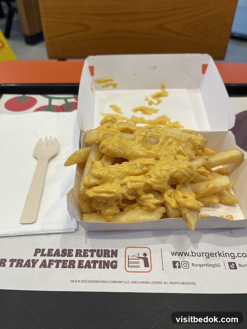 Cheese Fries