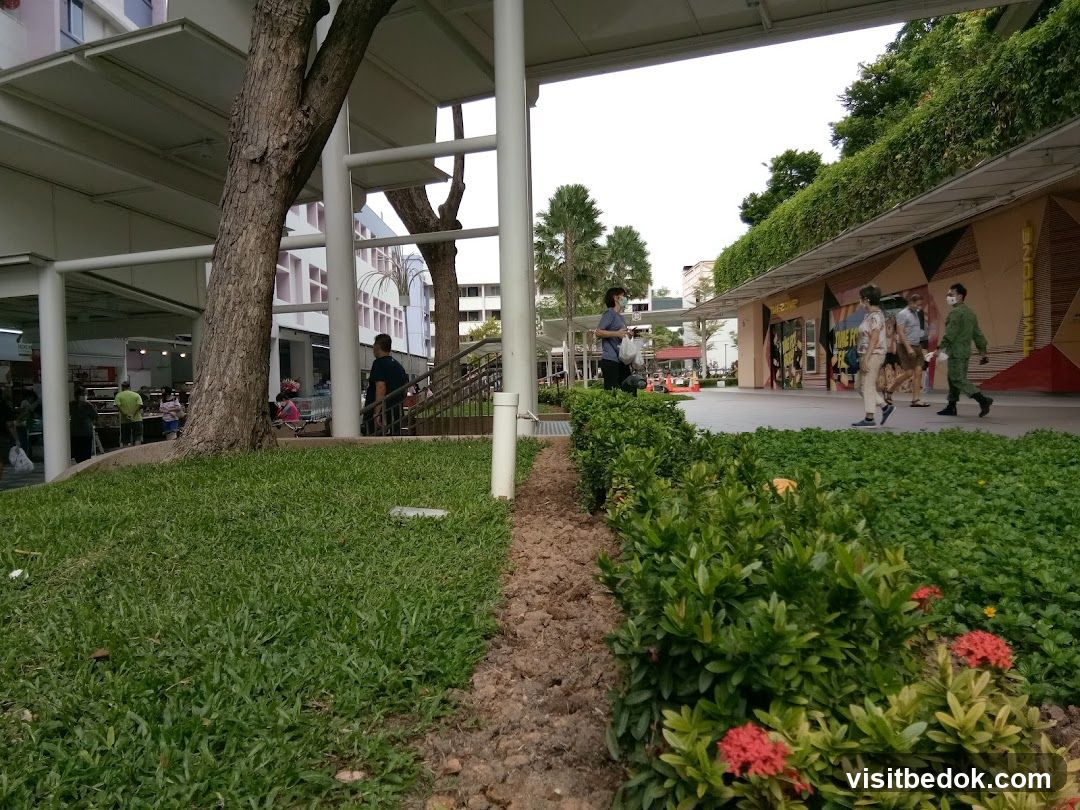 Outdoor walkway with people and greenery