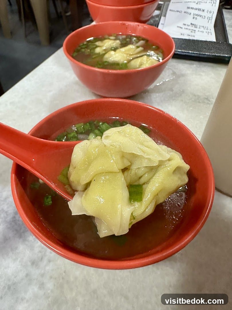 Wonton Soup