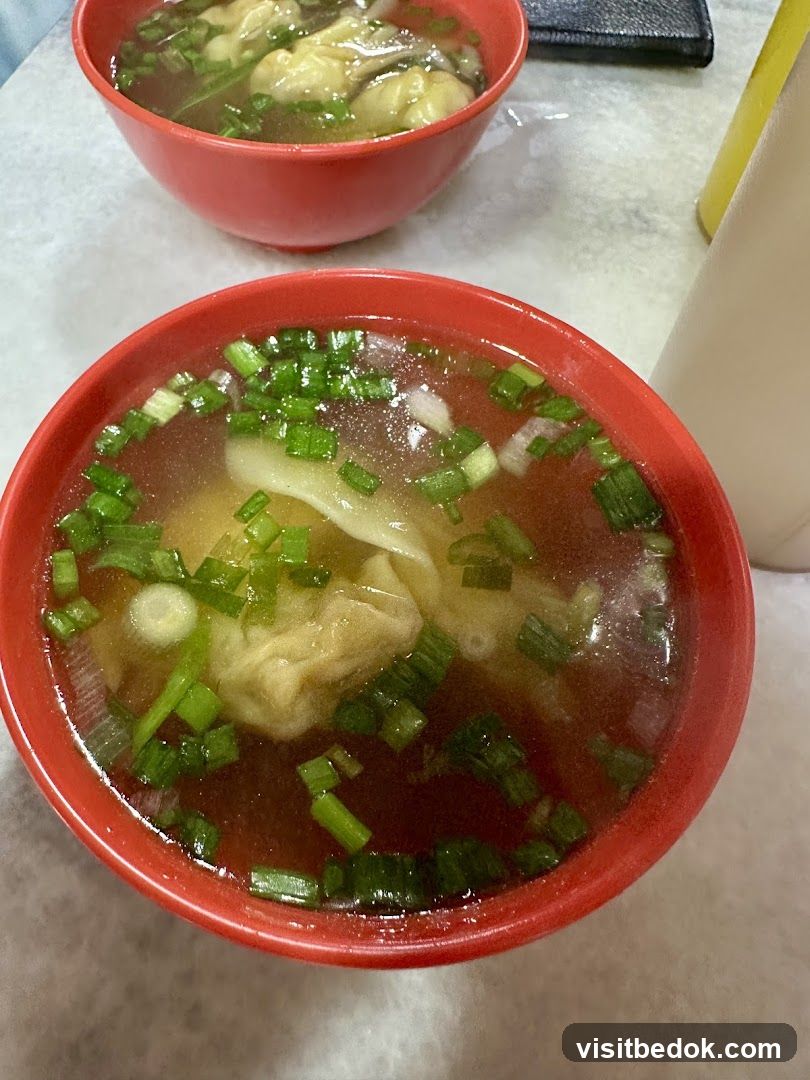 Wonton Soup