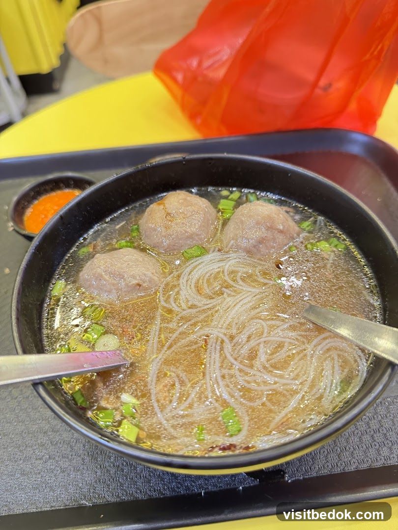Bowl of Noodles with Meatballs