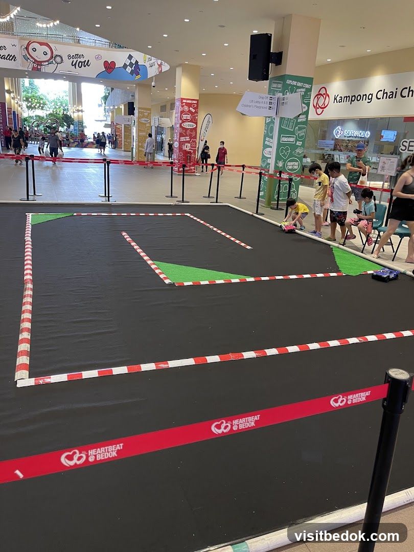 Remote Control Car Race Track