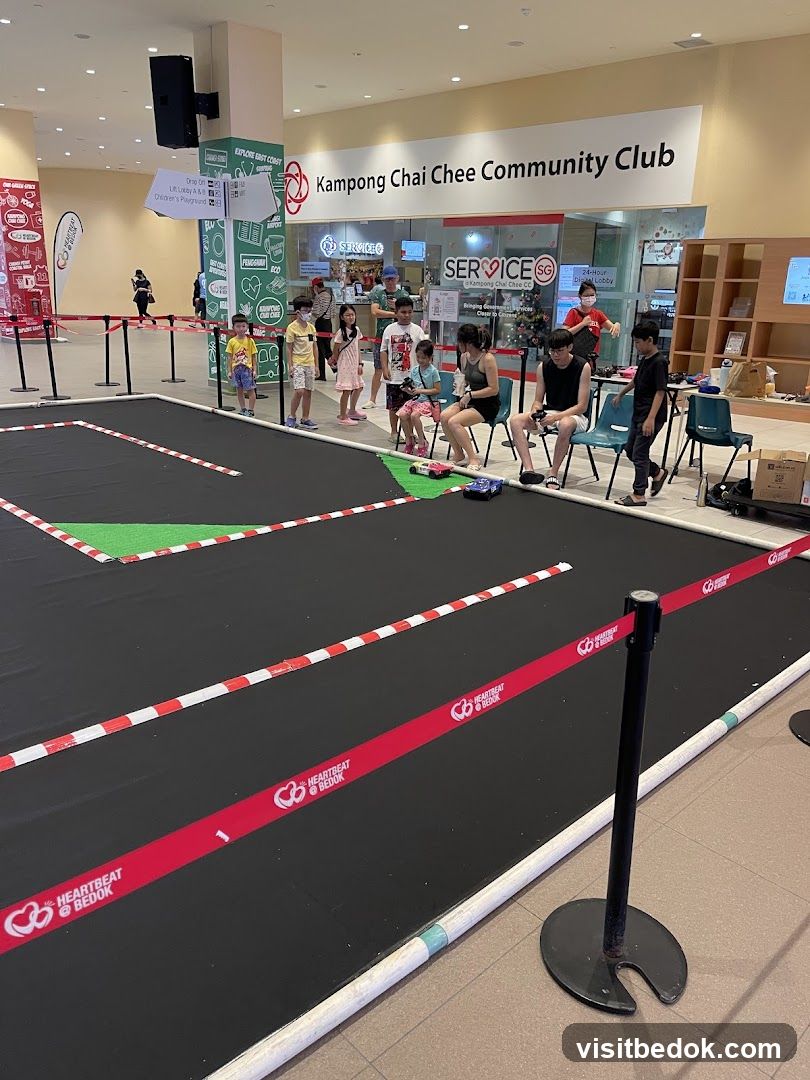 Remote Control Car Race