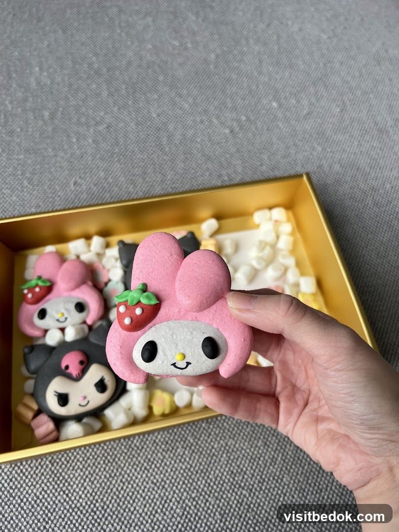 Character Macarons