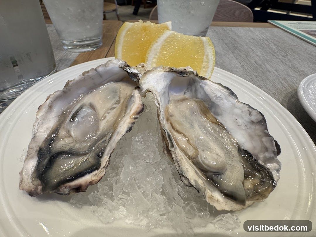 Oysters on Ice
