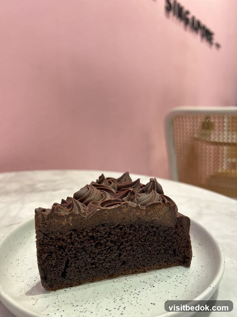 Chocolate Cake Slice
