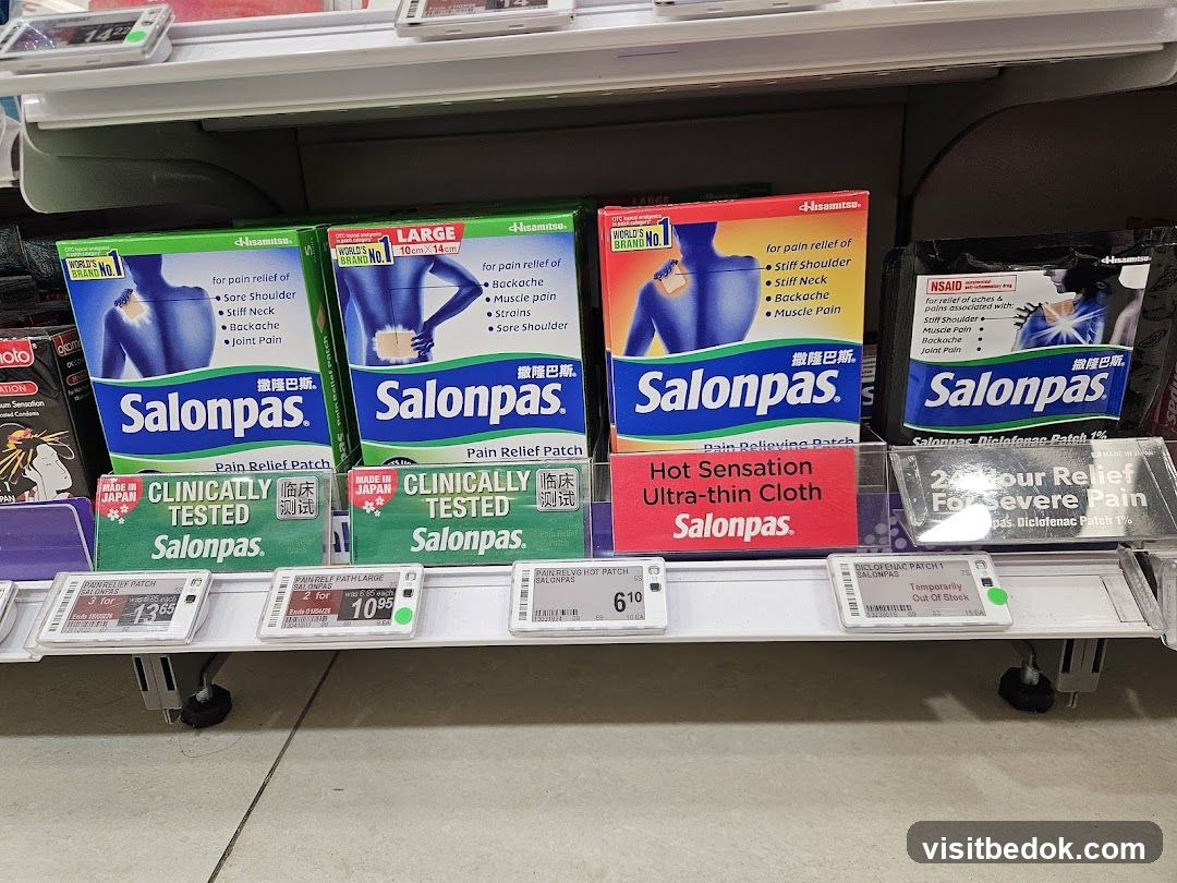Salonpas Pain Relief Patches