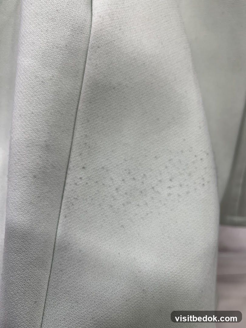 Fabric Texture with Stains