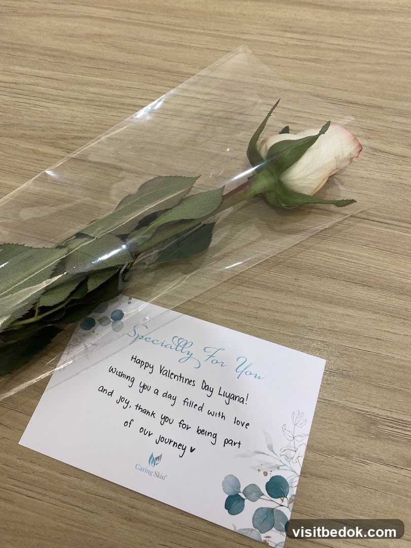 Valentine's Day Rose and Card
