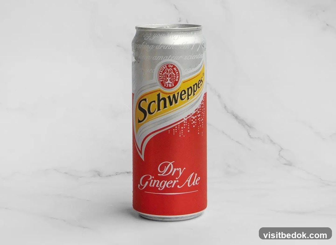 Schweppes Dry Ginger Ale Can