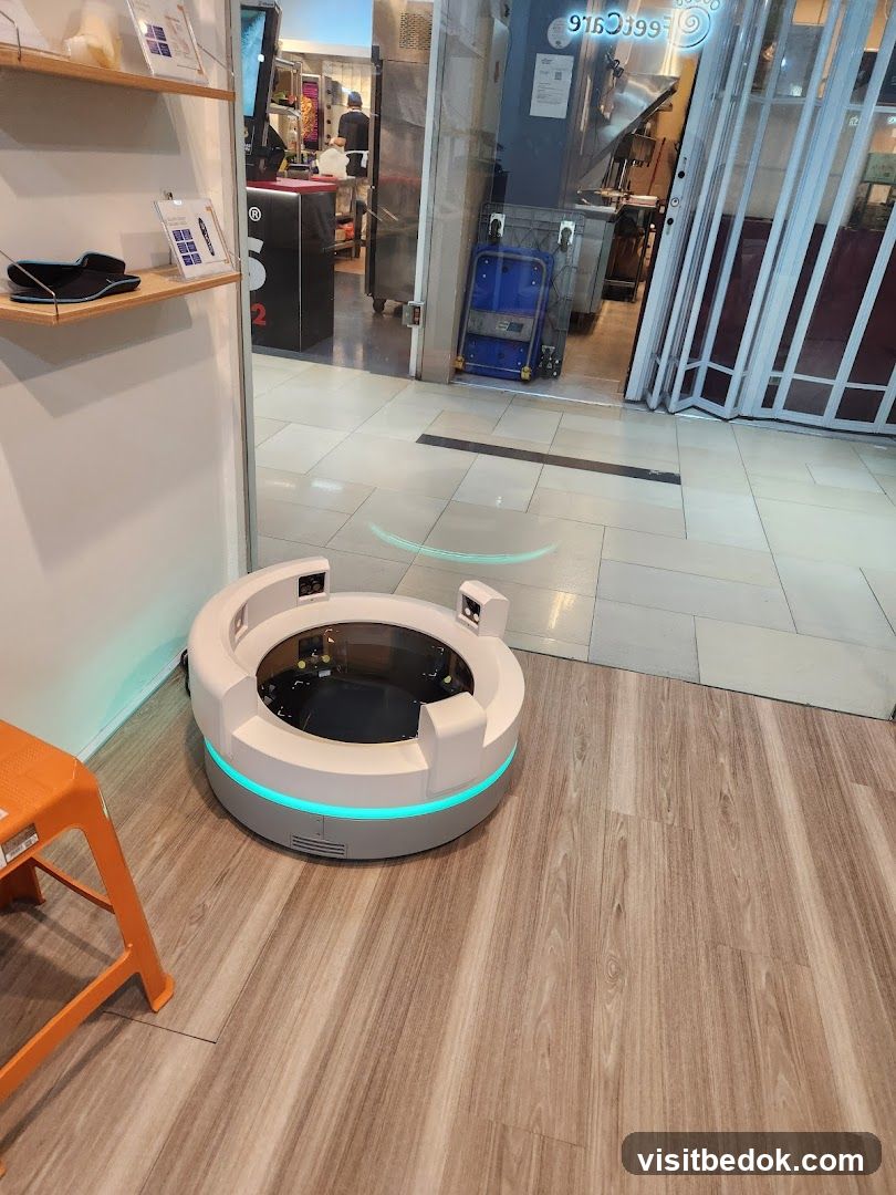 Robotic Device in Store