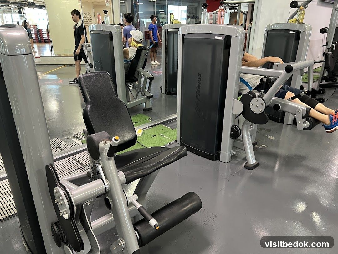 Gym Interior with Exercise Equipment