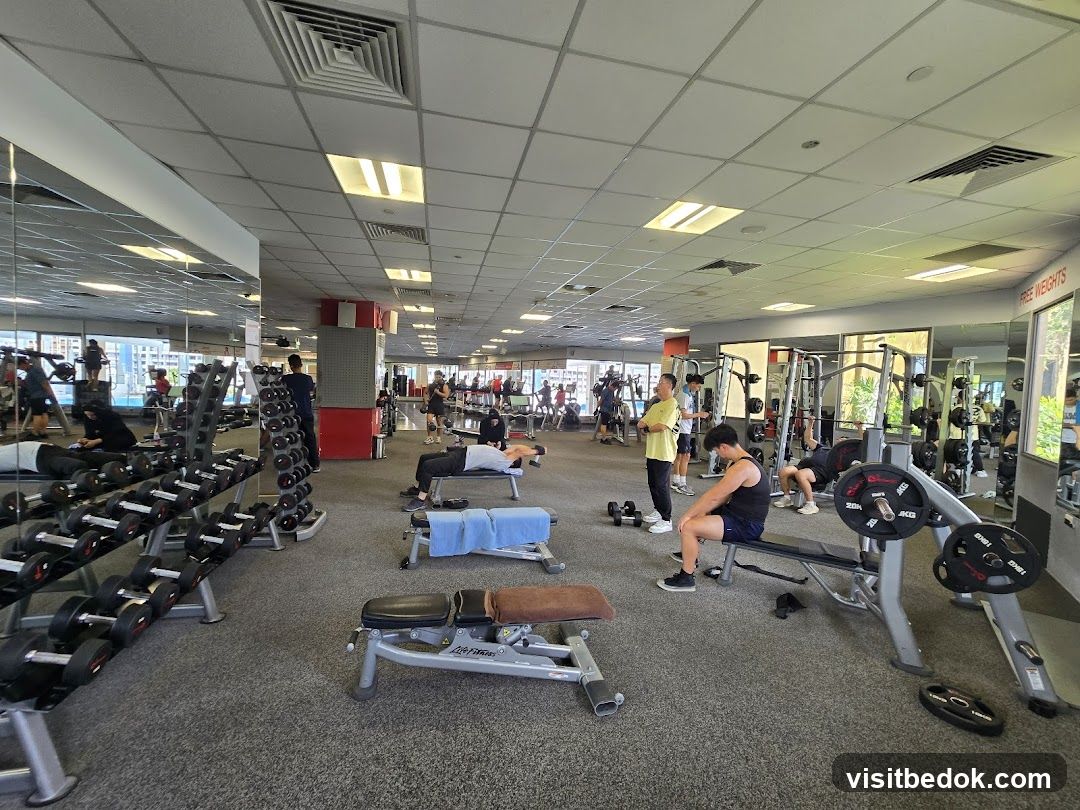 Gym Interior